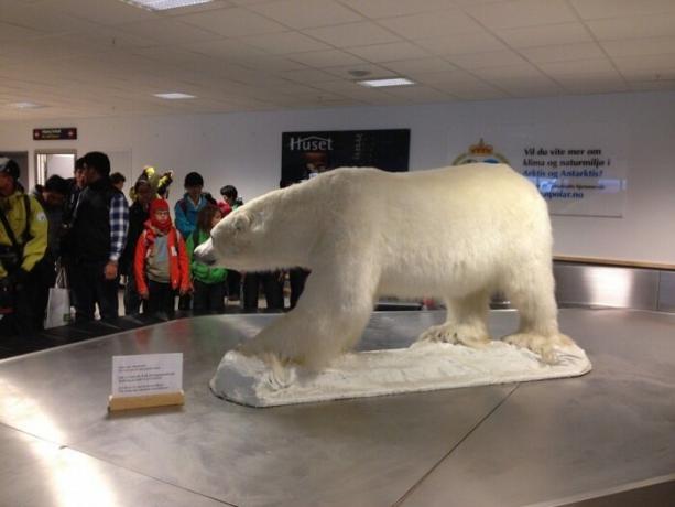 Lufthavnen opfylder alle de rejser symbol på byen - isbjørnen.