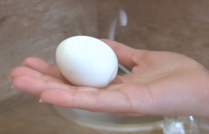 Alle ønsker at spise et æg en perfekt Gorny! / Foto Kilde: youtube.com/channel/UCagplR5T275T6em4AQOYNbQ