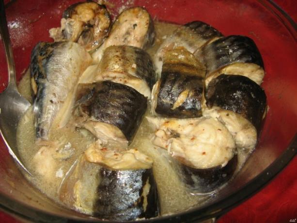 Dish på 10 minutter: tilberede makrel i mikrobølgeovnen korrekt