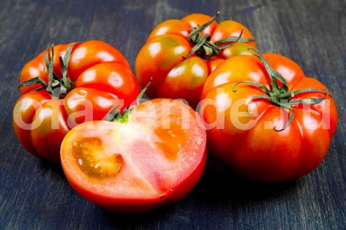 Hvis du hurtigt rødmede tomater