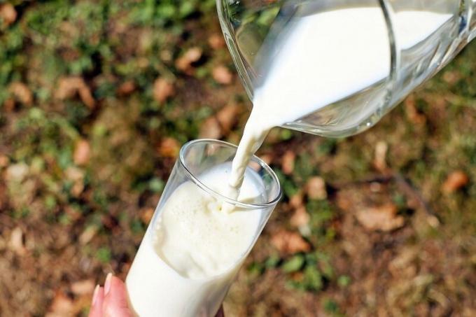Fordele Have mælk. Illustration til en artikel brugt open source