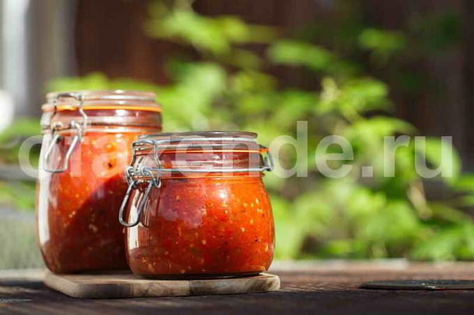 Opskrift salsa sauce. Illustration til en artikel bruges til en standard licens © ofazende.ru