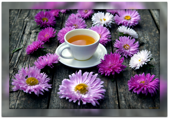 Nyttige for dig egenskaber af te af krysantemum, og hvorfor det er så populært i kinesisk centenarians