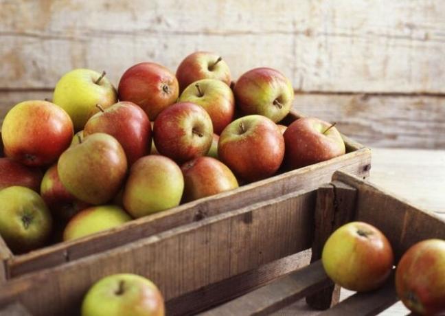 Min "hemmeligheder" af langtidsopbevaring af æbler. 3 effektiv metode