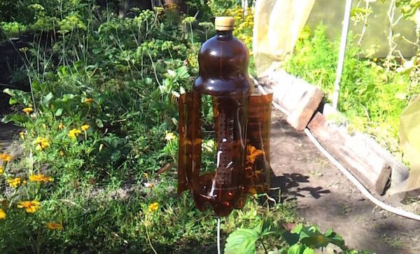 Nyttig anvendelse af plastflasker i haven (del 2)