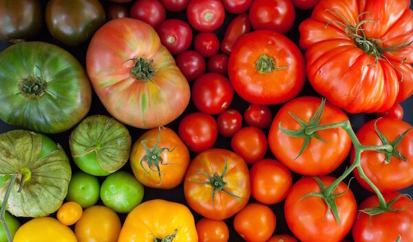 Den oprindelige metode til dyrkning af tomater i rasp