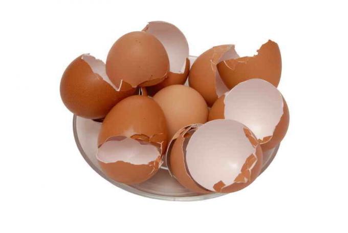 Eggshell som en top dressing til tomater. Illustration til en artikel bruges til en standard licens © ofazende.ru