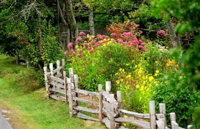 Rustik have: god og skønhed uden megen besvær