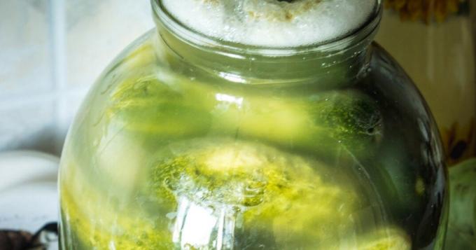 Hvorfor grumset krukker af pickles: Sådan sparer bevarelsen og værd-doing?