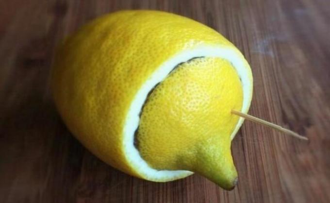 Lemon - den perfekte ledsager, når du går camping eller friluftsliv. / Foto: belnovosti.by. 