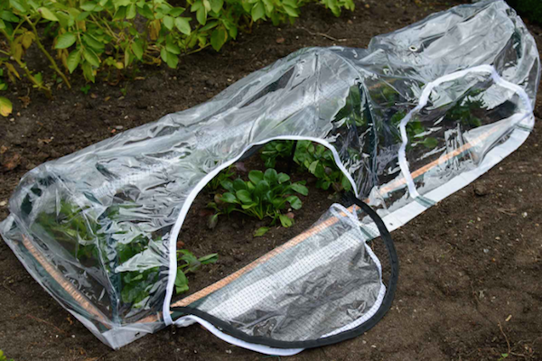 se: https://www.harrodhorticultural.com/cache/product/615/615/popadome-crop-protection-tunnel-1-8m-x-0-6m-4-2019114141.jpg