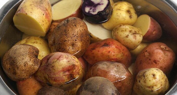 Prøv under mæskning at blande forskellige sorter af kartofler.