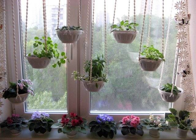 Original vinduesdekoration med planter