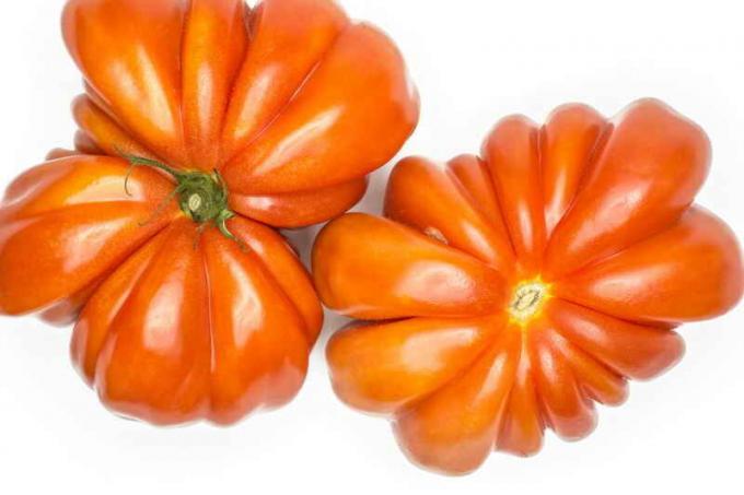 Tomater "bullish hjerte" Foto af udgivelse bruges af standard licens © ofazende.ru