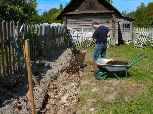 Vi bestemme sammensætningen af ​​jorden på stedet