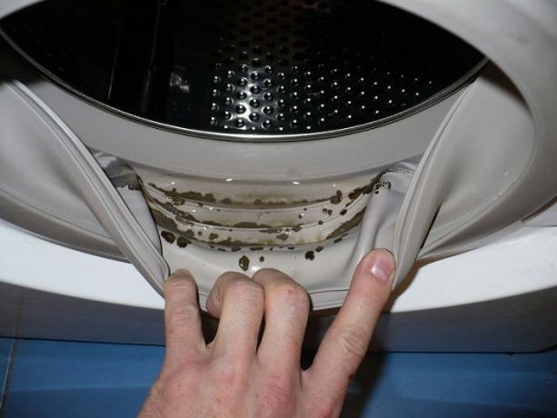 Hvordan at slippe af mug og muggen lugt i vaskemaskinen