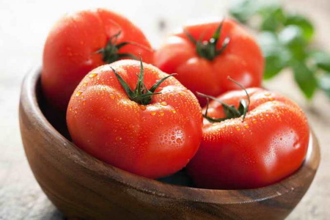 Harvest tomater. Illustration til en artikel bruges til en standard licens © ofazende.ru