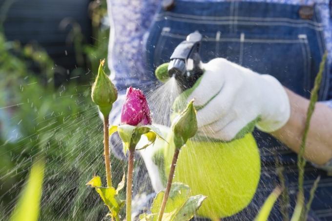 6 fejl på deres sommerhus pesticidudbringningsudstyr