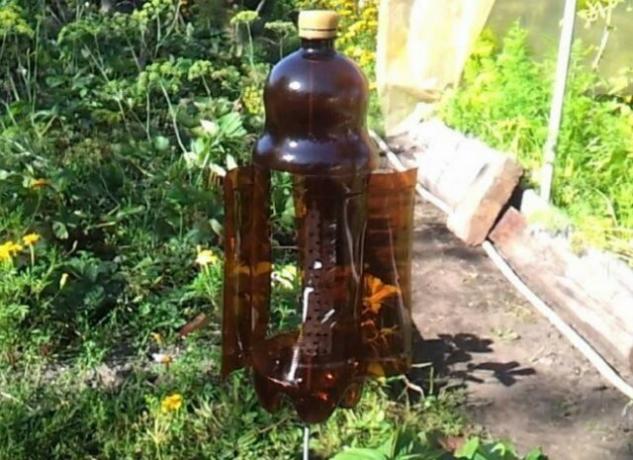 Nyttig anvendelse af plastflasker i haven (del 2)