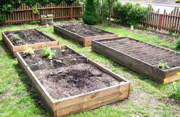 Hvordan man kan forbedre lerjord i haven uden store økonomiske investeringer. min erfaring